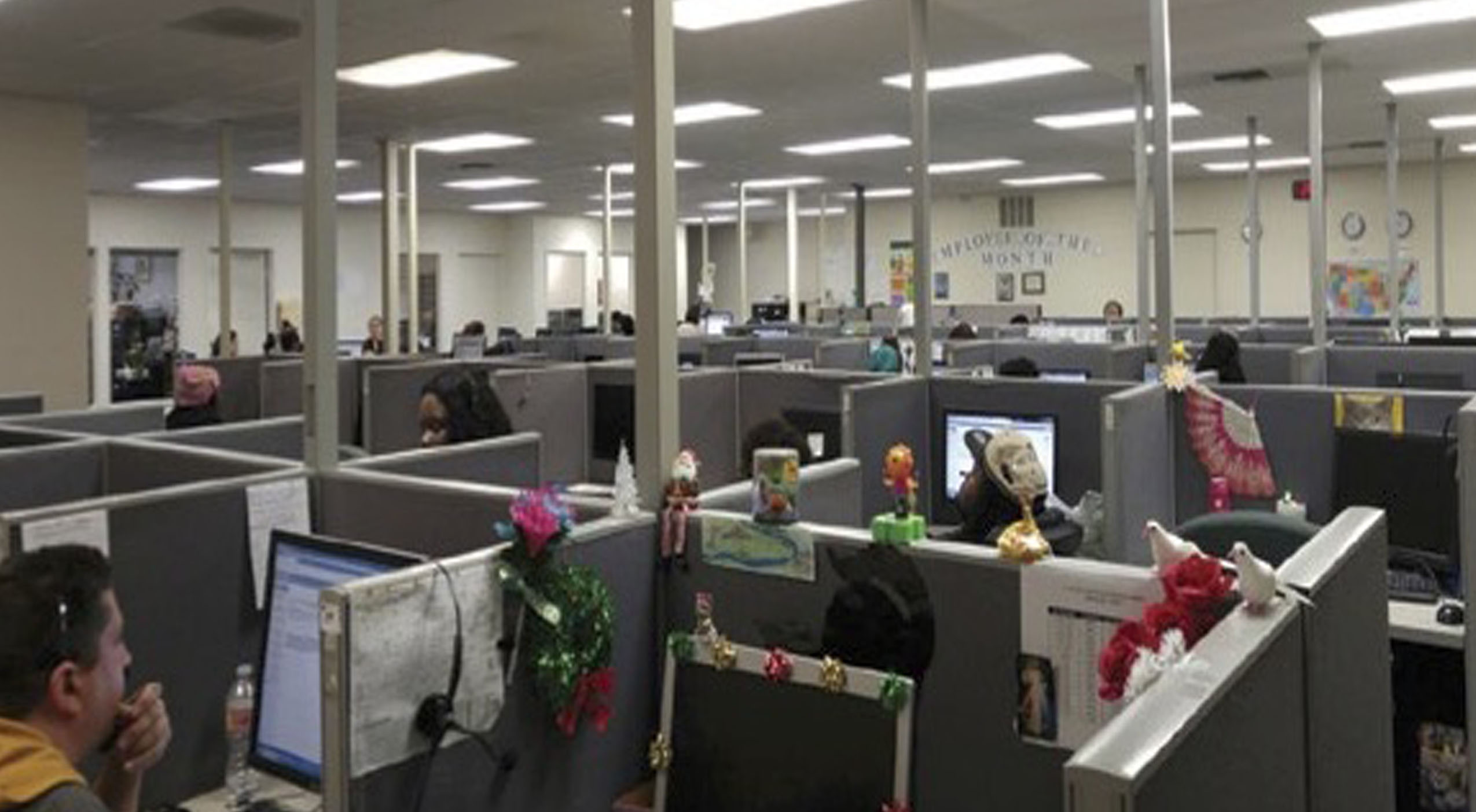 market research calls